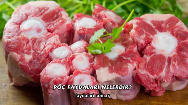 Pöç Faydaları Nelerdir?