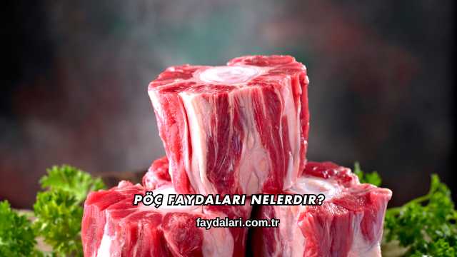 Pöç Faydaları Nelerdir?