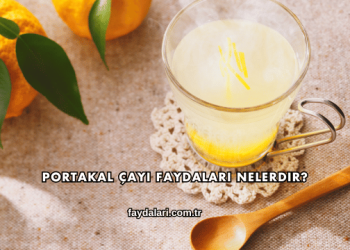 Portakal Çayı Faydaları Nelerdir?