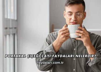 Portakal Çiçeği Çayı Faydaları Nelerdir?