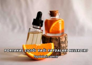 Portakal Çiçeği Yağı Faydaları Nelerdir?