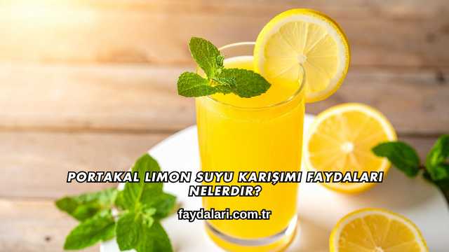 Portakal Limon Suyu Karışımı Faydaları Nelerdir?