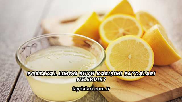 Portakal Limon Suyu Karışımı Faydaları Nelerdir?