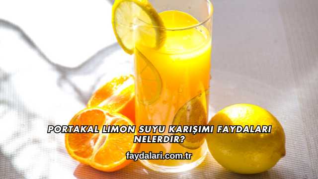 Portakal Limon Suyu Karışımı Faydaları Nelerdir?