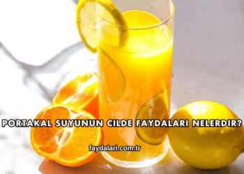 Portakal Suyunun Cilde Faydaları Nelerdir?