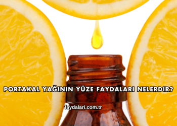 Portakal Yağının Yüze Faydaları Nelerdir?