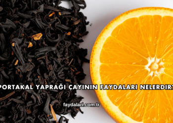 Portakal Yaprağı Çayının Faydaları Nelerdir?
