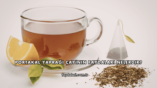 Portakal Yaprağı Çayının Faydaları Nelerdir?