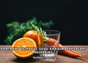 Portakal ve Havuç Suyu Karışımı Faydaları Nelerdir?