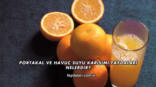 Portakal ve Havuç Suyu Karışımı Faydaları Nelerdir?