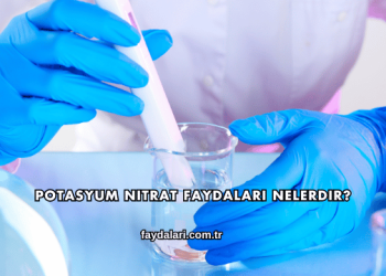 Potasyum Nitrat Faydaları Nelerdir?