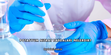 Potasyum Nitrat Faydaları Nelerdir?
