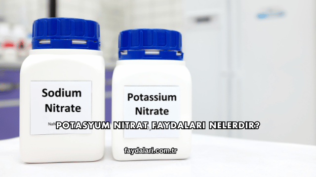 Potasyum Nitrat Faydaları Nelerdir?