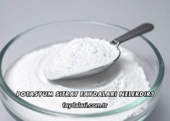 Potasyum Sitrat Faydaları Nelerdir?