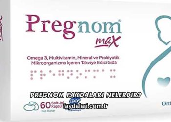 Pregnom Faydaları Nelerdir?