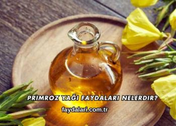 Primroz Yağı Faydaları Nelerdir?