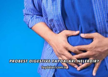 Probest Digestive Faydaları Nelerdir?
