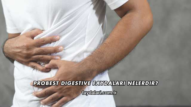 Probest Digestive Faydaları Nelerdir?