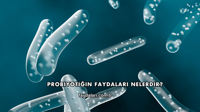 Probiyotiğin Faydaları Nelerdir?