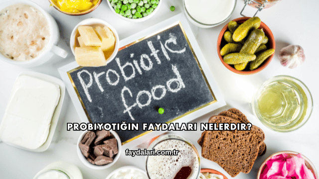 Probiyotiğin Faydaları Nelerdir?