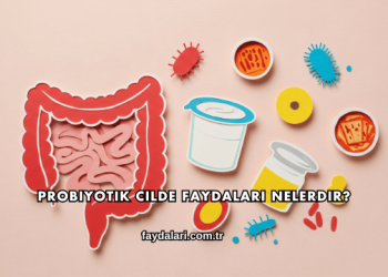 Probiyotik Cilde Faydaları Nelerdir?