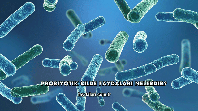 Probiyotik Cilde Faydaları Nelerdir?