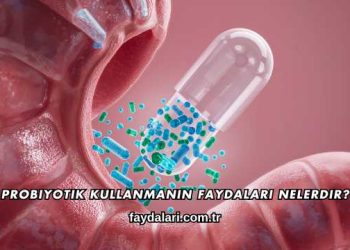 Probiyotik Kullanmanın Faydaları Nelerdir
