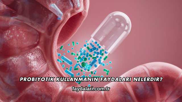 Probiyotik Kullanmanın Faydaları Nelerdir