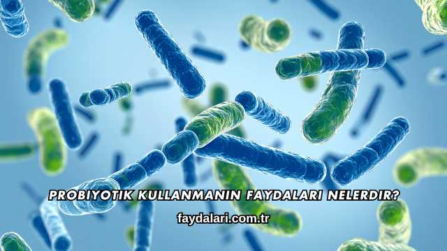 Probiyotik Kullanmanın Faydaları Nelerdir