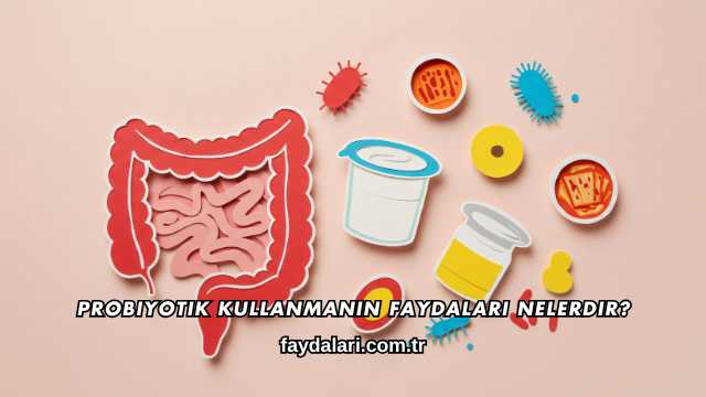 Probiyotik Kullanmanın Faydaları Nelerdir