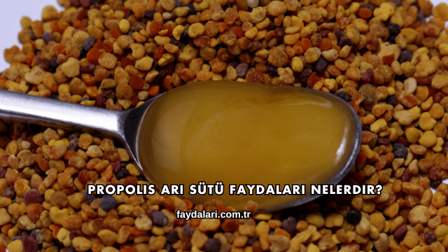 Propolis Arı Sütü Faydaları Nelerdir?