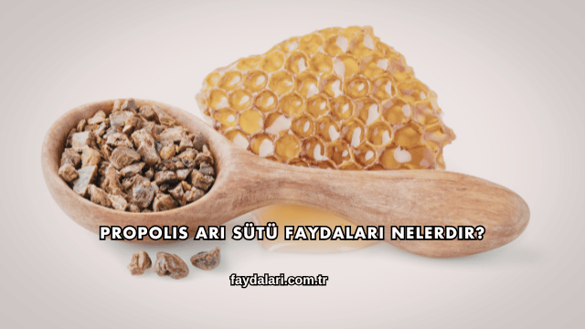 Propolis Arı Sütü Faydaları Nelerdir?