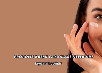 Propolis Kremi Faydaları Nelerdir?