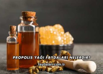 Propolis Yağı Faydaları Nelerdir?