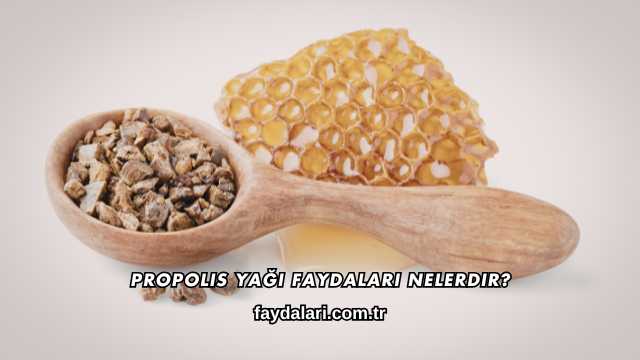 Propolis Yağı Faydaları Nelerdir?