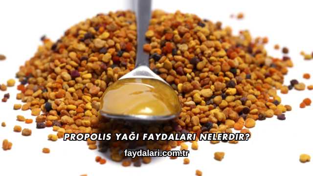 Propolis Yağı Faydaları Nelerdir?