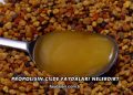 Propolisin Cilde Faydaları Nelerdir?