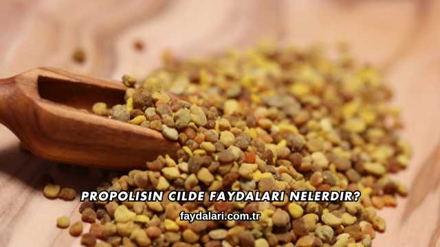 Propolisin Cilde Faydaları Nelerdir?