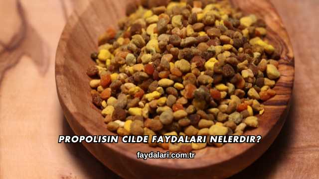 Propolisin Cilde Faydaları Nelerdir?