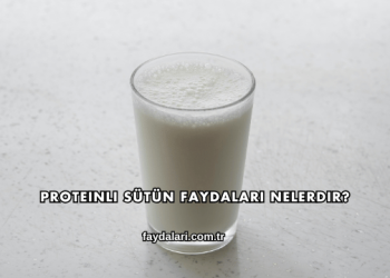 Proteinli Sütün Faydaları Nelerdir?