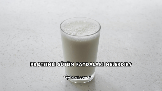 Proteinli Sütün Faydaları Nelerdir?