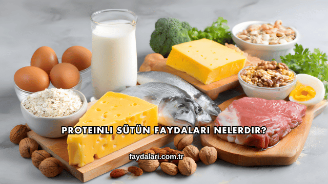 Proteinli Sütün Faydaları Nelerdir?