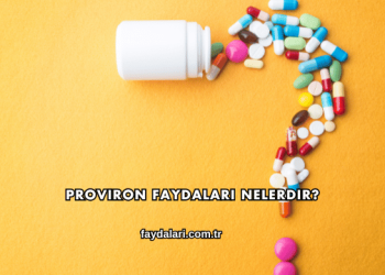 Proviron Faydaları Nelerdir?