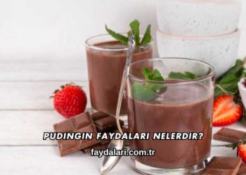 Pudingin Faydaları Nelerdir?