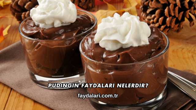 Pudingin Faydaları Nelerdir?
