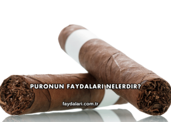 Puronun Faydaları Nelerdir?