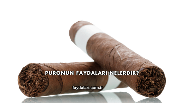 Puronun Faydaları Nelerdir?