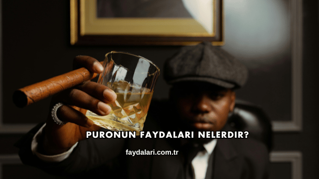 Puronun Faydaları Nelerdir?