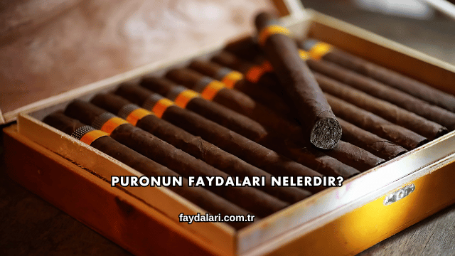 Puronun Faydaları Nelerdir?