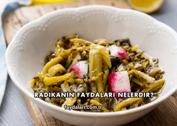 Radikanın Faydaları Nelerdir?
